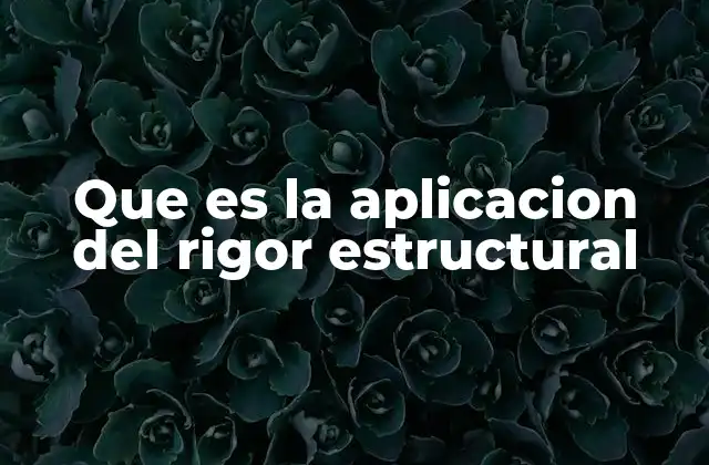 Que es la Aplicacion Del Rigor Estructural