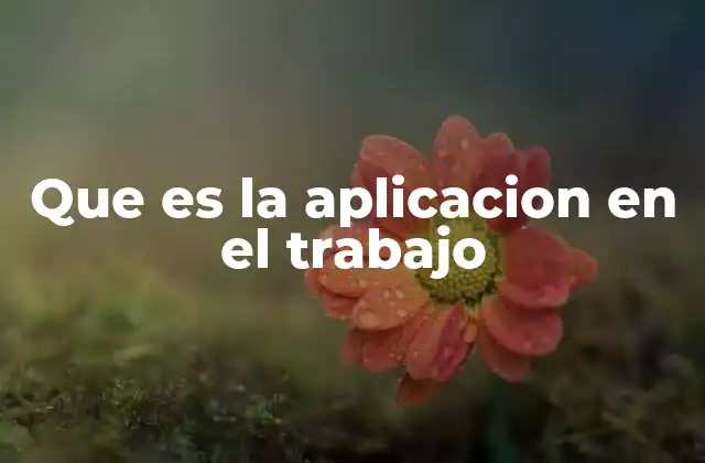 Que es la Aplicacion en el Trabajo