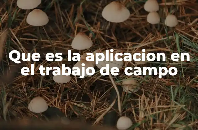 Que es la Aplicacion en el Trabajo de Campo