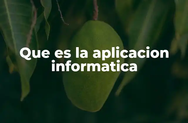 Que es la Aplicacion Informatica