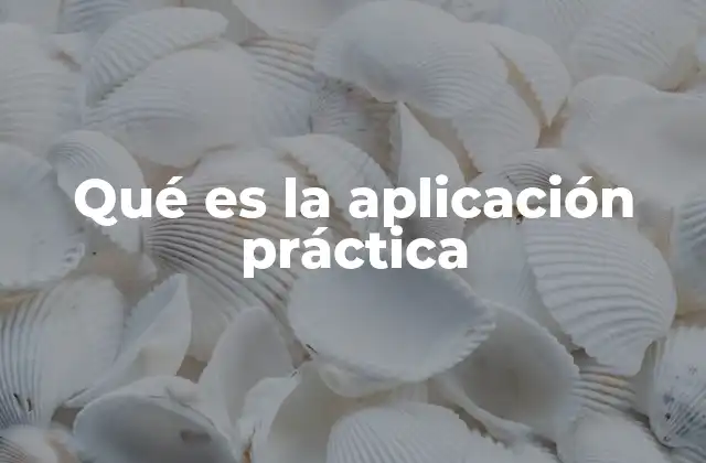 Qué es la Aplicación Práctica