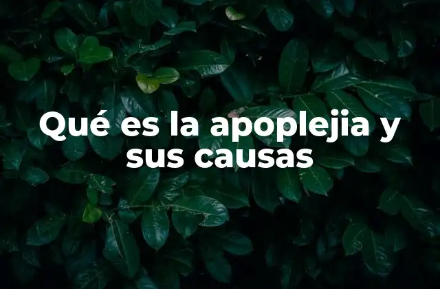 Qué es la Apoplejia y Sus Causas