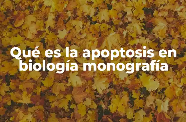 Qué es la Apoptosis en Biología Monografía 2 La importancia de la apoptosis en la biología celular