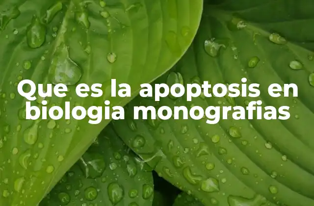 Que es la Apoptosis en Biologia Monografias 2 El papel de la apoptosis en el desarrollo biológico