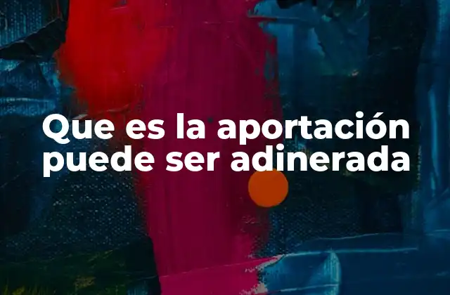 Que es la Aportación Puede Ser Adinerada