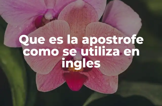 Que es la Apostrofe como Se Utiliza en Ingles 2 La apostrofe en la posesión: reglas básicas y ejemplos