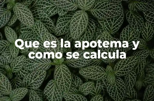 Que es la Apotema y como Se Calcula