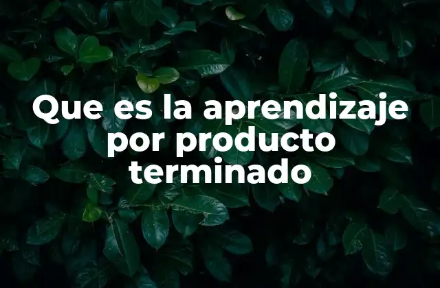 Que es la Aprendizaje por Producto Terminado
