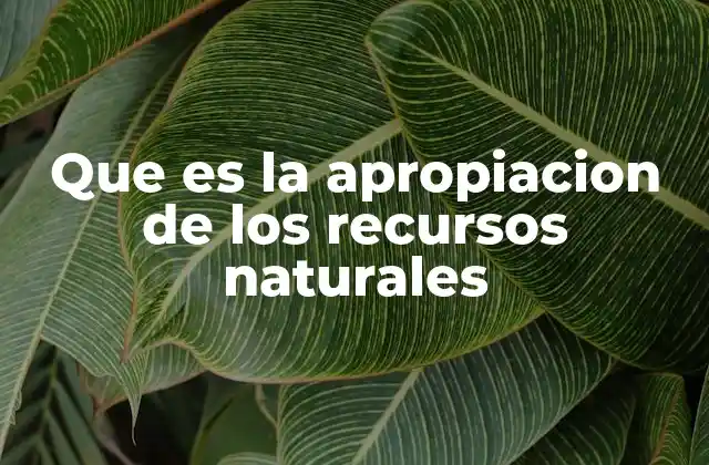 Que es la Apropiacion de los Recursos Naturales