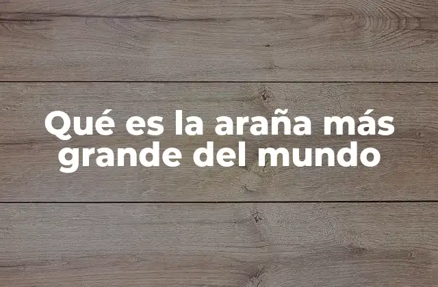 Qué es la Araña Más Grande Del Mundo