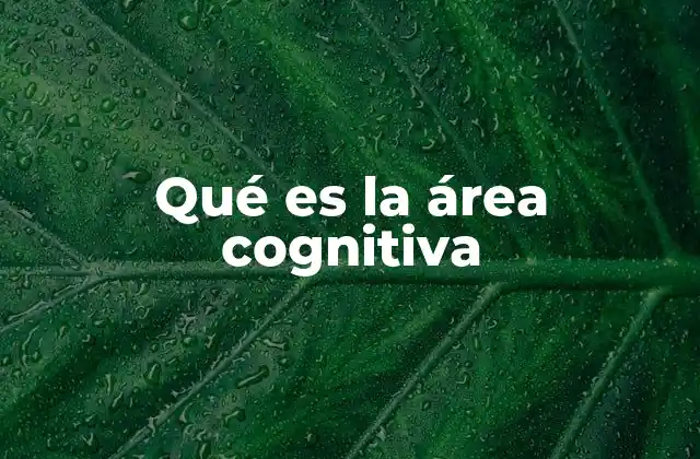 Qué es la Área Cognitiva