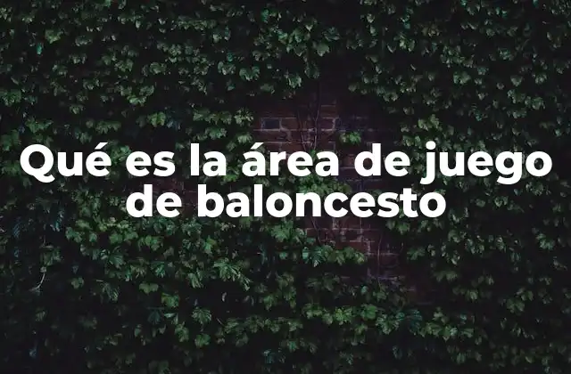 Qué es la Área de Juego de Baloncesto