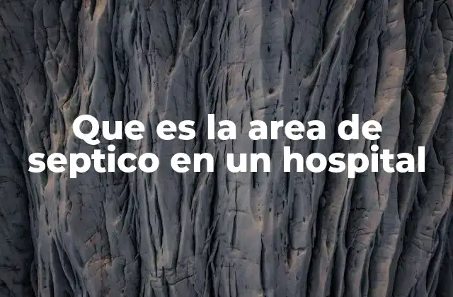 El papel de los espacios de aislamiento en la gestión hospitalaria