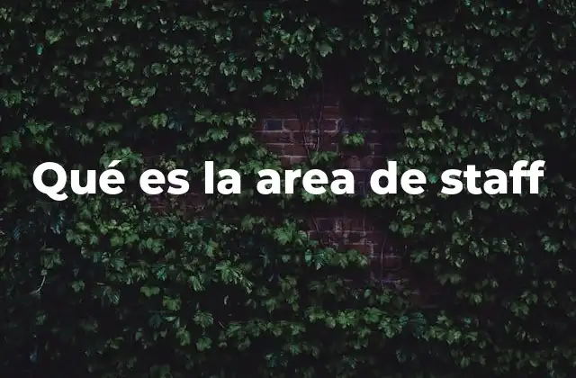 Qué es la Area de Staff