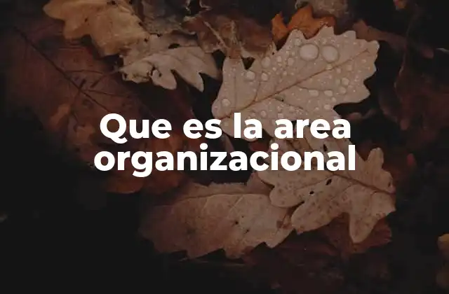 Que es la Area Organizacional