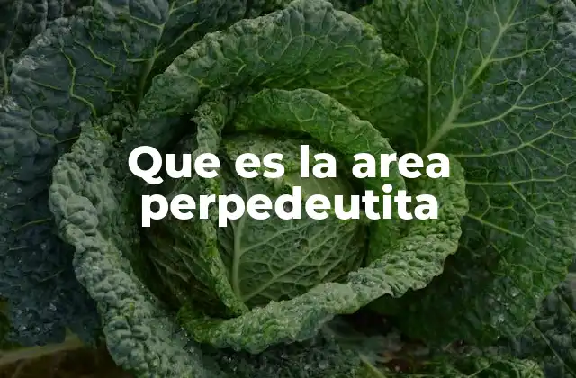 Que es la Area Perpedeutita