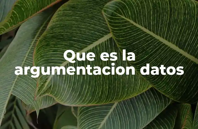 Que es la Argumentacion Datos