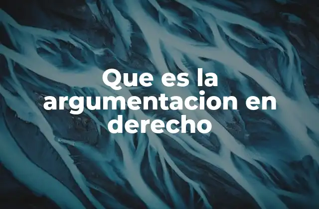 Que es la Argumentacion en Derecho