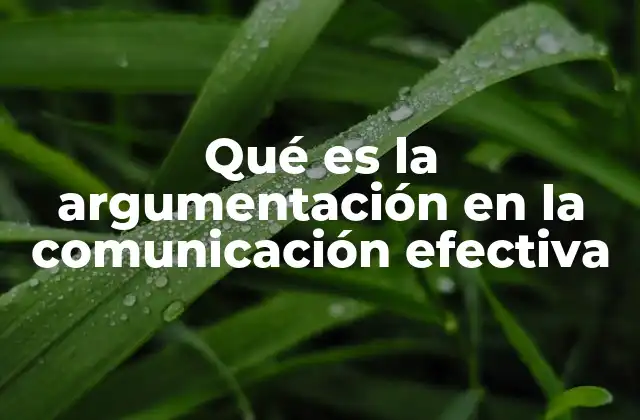 Qué es la Argumentación en la Comunicación Efectiva