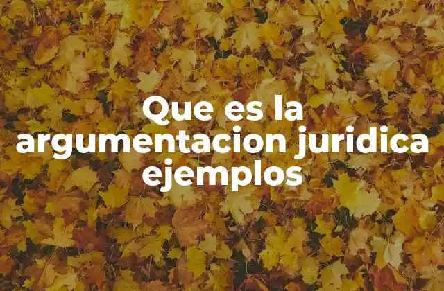 Que es la Argumentacion Juridica Ejemplos