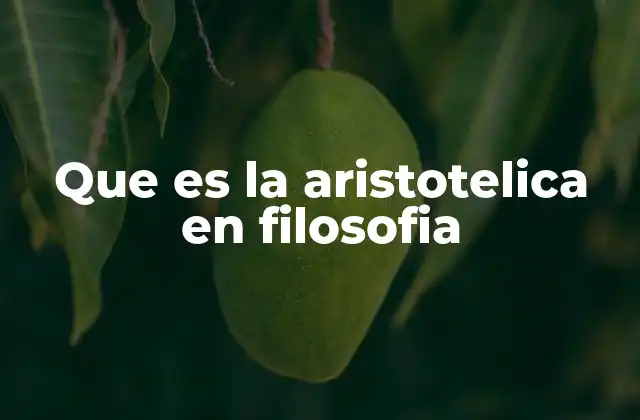 Que es la Aristotelica en Filosofia