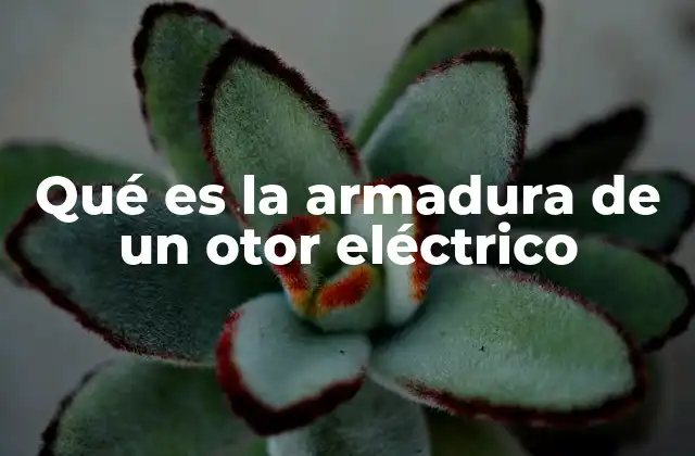 Qué es la Armadura de un Otor Eléctrico