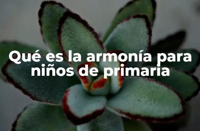 Qué es la Armonía para Niños de Primaria