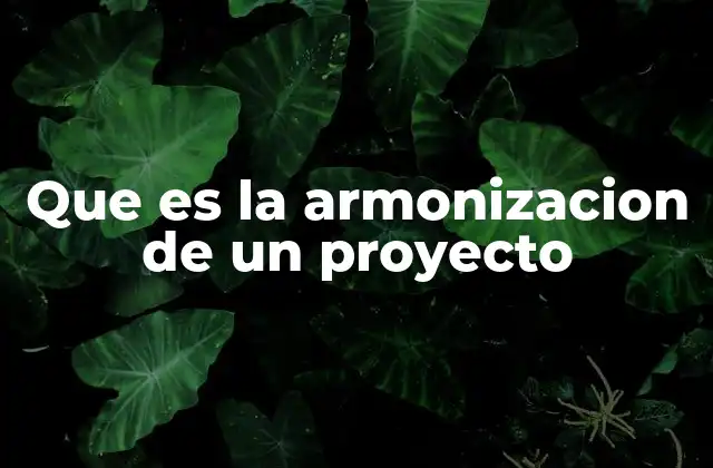 Que es la Armonizacion de un Proyecto