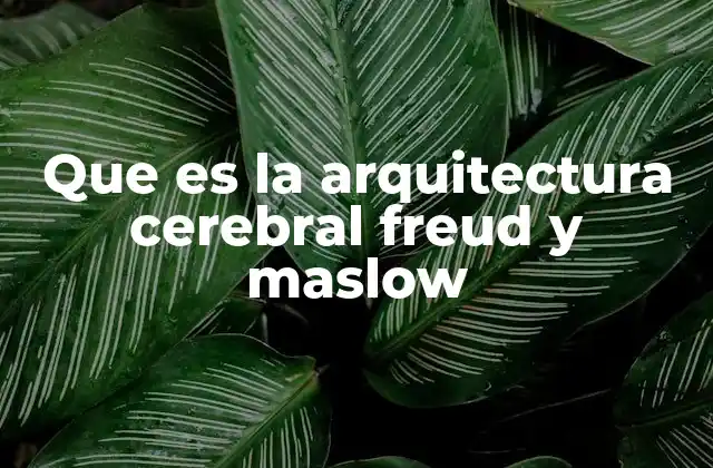 Que es la Arquitectura Cerebral Freud y Maslow
