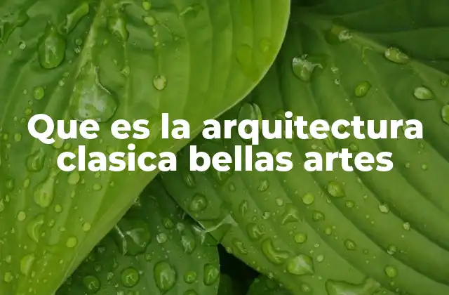 Que es la Arquitectura Clasica Bellas Artes