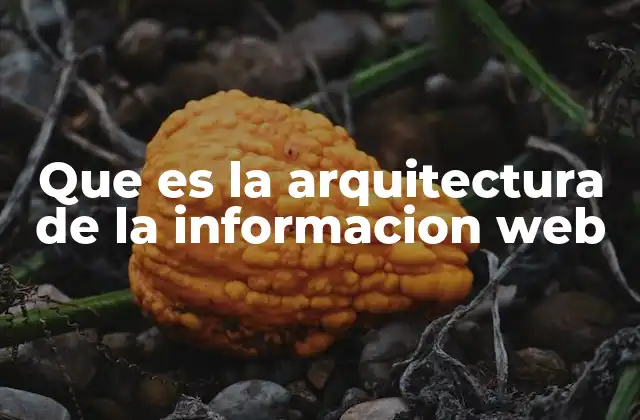 Que es la Arquitectura de la Informacion Web