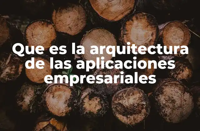 Que es la Arquitectura de las Aplicaciones Empresariales