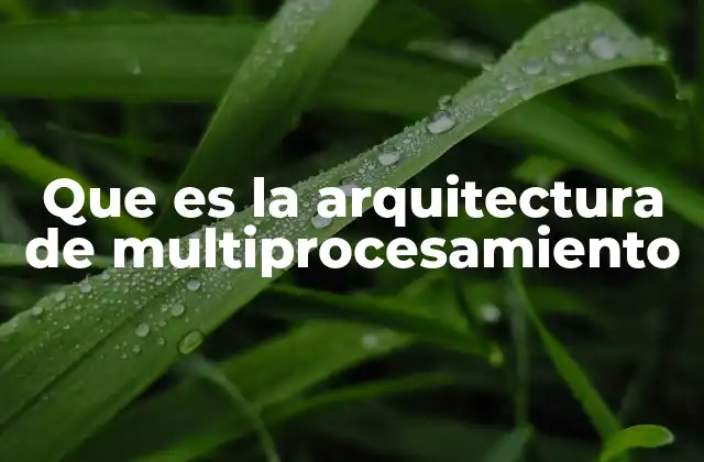 Que es la Arquitectura de Multiprocesamiento