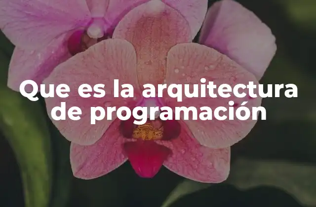 Que es la Arquitectura de Programación