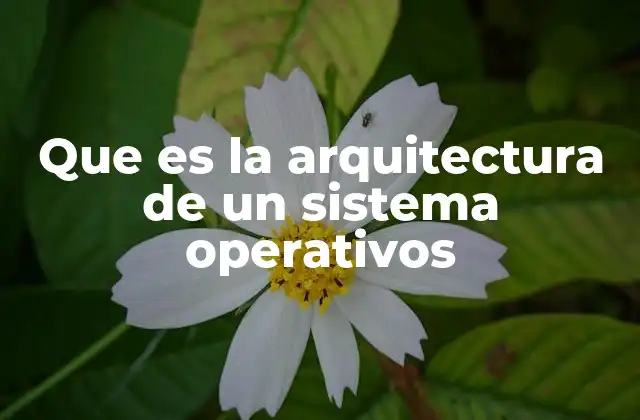 Que es la Arquitectura de un Sistema Operativos