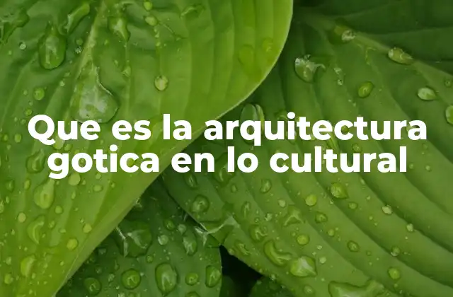 Que es la Arquitectura Gotica en Lo Cultural 2 El legado cultural de la arquitectura gótica