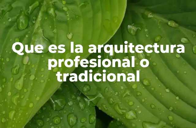 Que es la Arquitectura Profesional o Tradicional