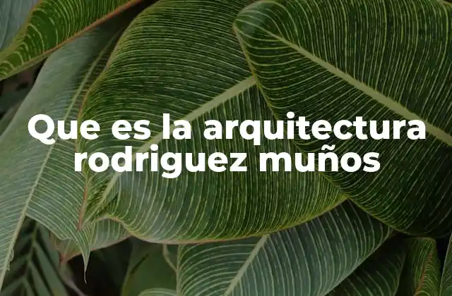 Que es la Arquitectura Rodriguez Muños