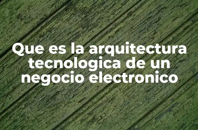 Que es la Arquitectura Tecnologica de un Negocio Electronico
