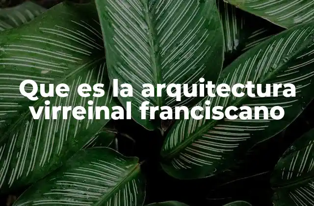 Que es la Arquitectura Virreinal Franciscano