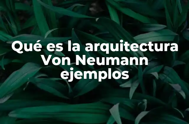 Qué es la Arquitectura Von Neumann Ejemplos