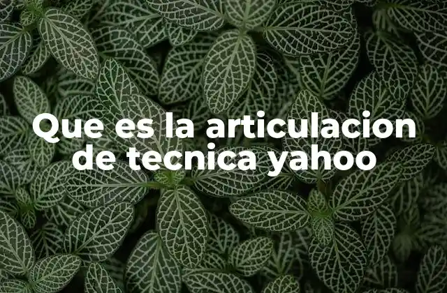 Que es la Articulacion de Tecnica Yahoo 2 Cómo Yahoo ha combinado estrategias tecnológicas para destacar