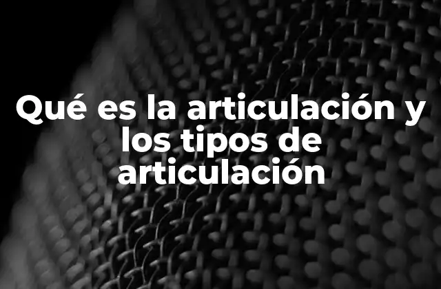 Qué es la Articulación y los Tipos de Articulación