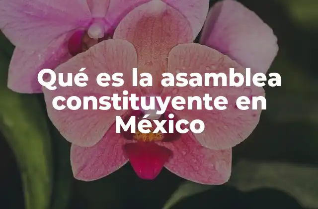Qué es la Asamblea Constituyente en México