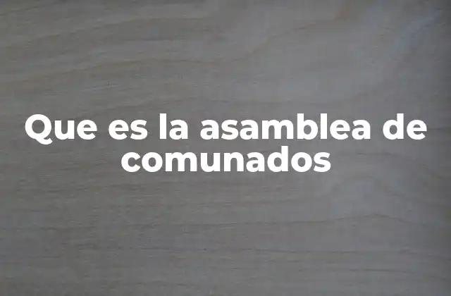 Que es la Asamblea de Comunados
