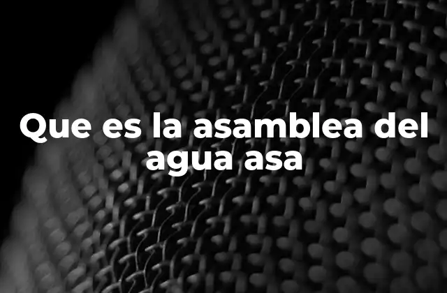 Que es la Asamblea Del Agua Asa 2 La importancia de la gestión comunitaria del agua