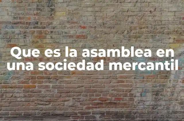 Que es la Asamblea en una Sociedad Mercantil
