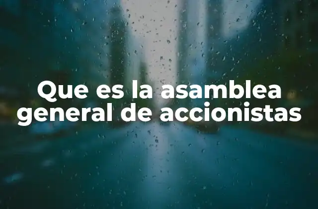 El papel de los accionistas en la toma de decisiones empresariales