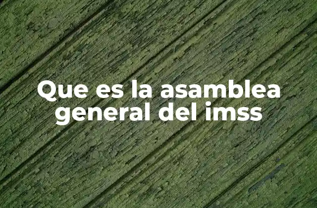 La importancia de la participación en el IMSS