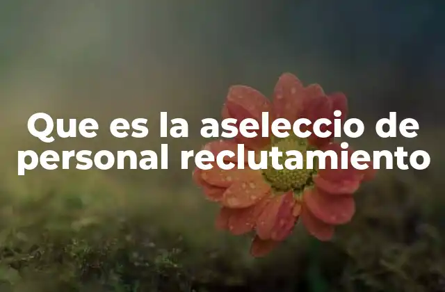 Que es la Aseleccio de Personal Reclutamiento